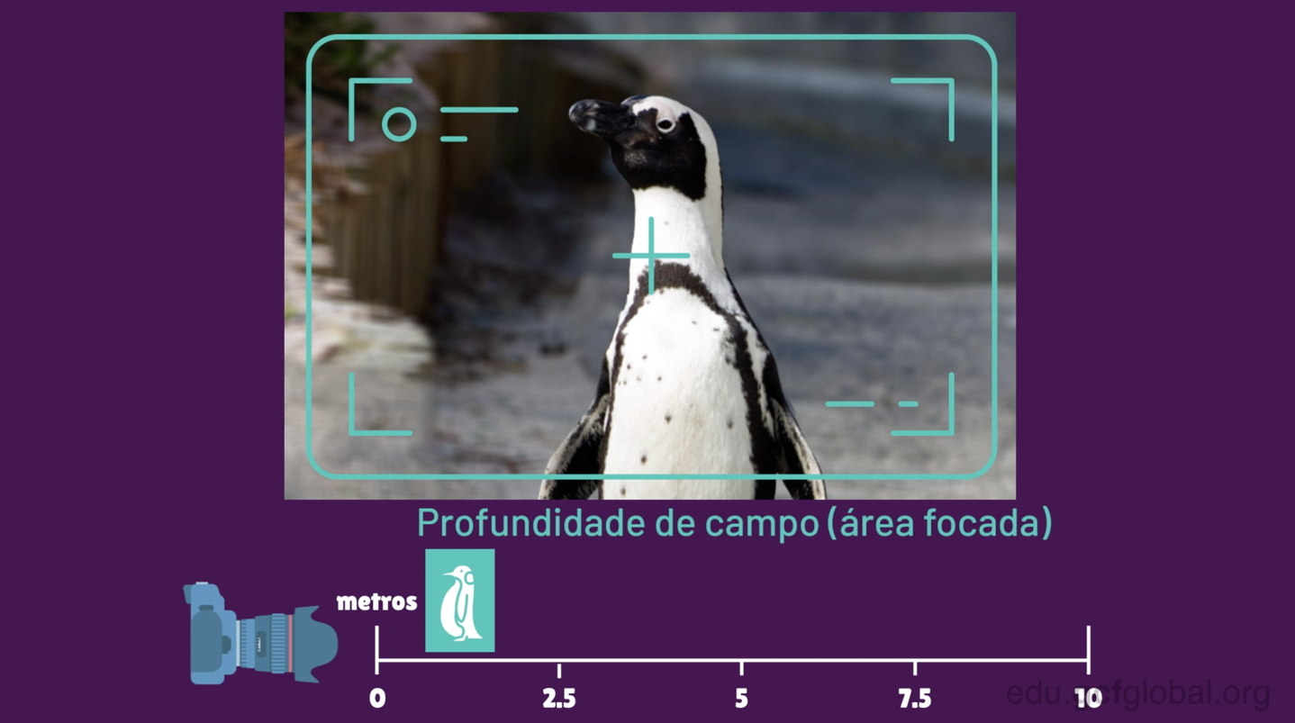 Quanto menor a distância entre o objeto e a câmera, menor a profundidade de campo. 